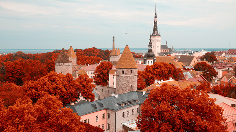 Tallinn - Gamla Stan i h�stskrud